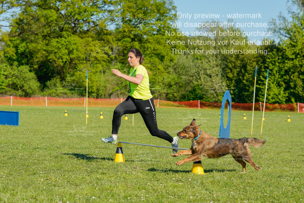 Sa_CSC-425 | stephaniefillaphotographie - Realisiert mit Pictrs.com