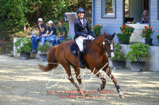 DKP42315 | Turniersportfotografie; Pferdefotografie; Dressurfotografie