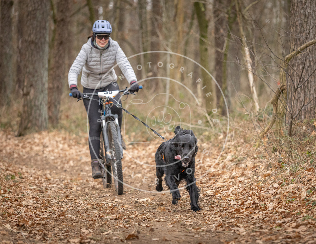 Pfotenfotografie_DV3A0248 | Hundefotografie, Tierfotograf, Pfotenfotografie, Fotoshooting Hund, Hunde Portrait, Hundesport, Hundeportraits, Heideshooting, Hunde, Sportfotograf, Hundefotograf, Turnierhundsport, THS,  - Realisiert mit Pictrs.com