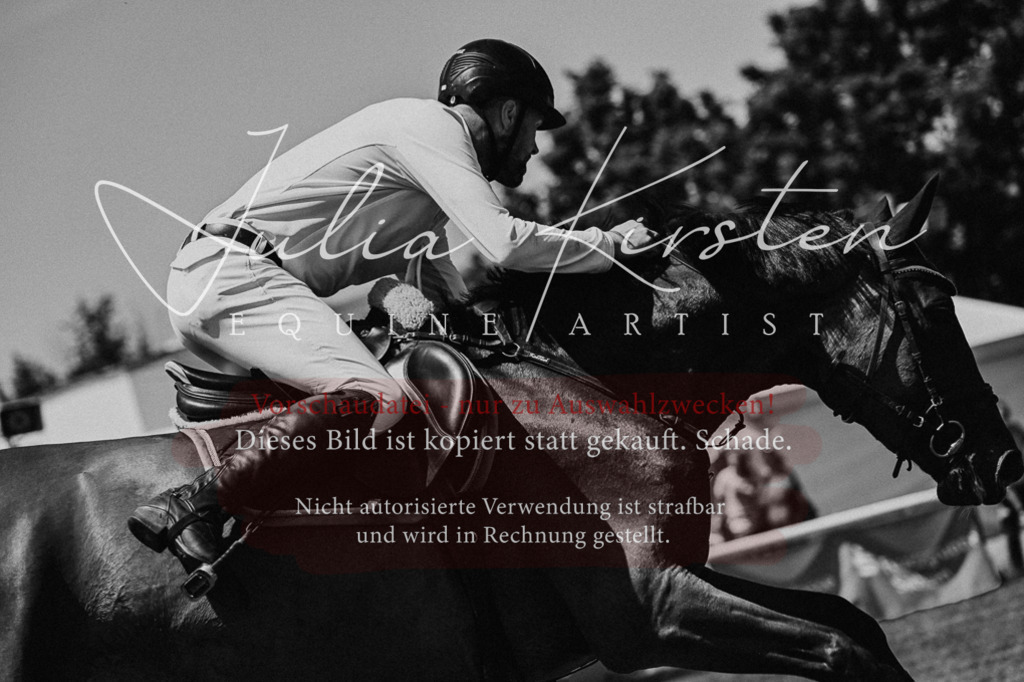DSC_0599 | Pferde- und Turnierfotografie in Westsachsen. Pferdeportraits, Auftragszeichnungen und intuitive Kunst.