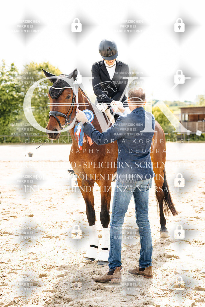 CK703618 | Turnierfotografie Pferdefotografie Trier Rheinland-Pfalz Pferdesport Reitsport Tierfotografie Sportfotografie Pferdevideo Pferdevideografie Equestrianvideography equestrianphotography  - Realisiert mit Pictrs.com