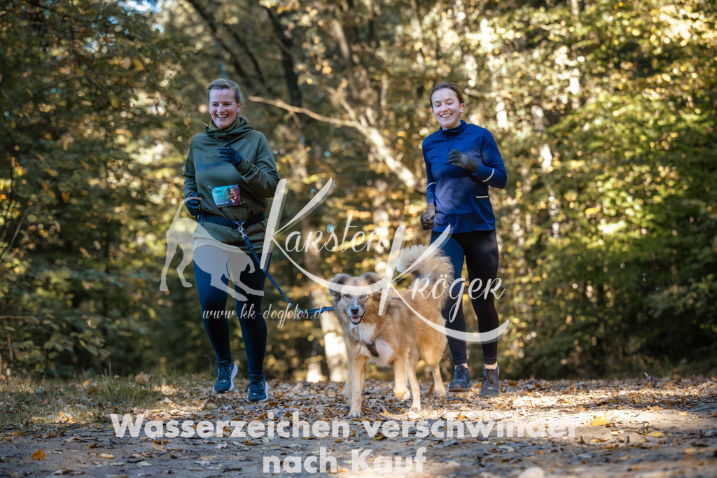 1027_ZZ99993 | kk-dogfotos