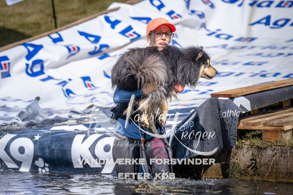 _ZZ934160938 | kk-dogfotos