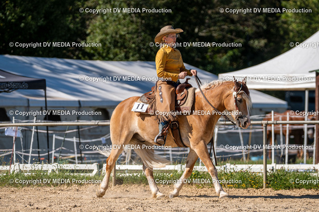 LM Heiligenwald Tag 1-2366 | dv-media-shop - Realized with Pictrs.com