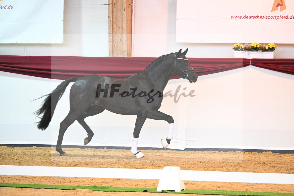 Kat-Nr. 8 v. Bon Courage_Maier_66220163 | hf-fotografie - Realisiert mit Pictrs.com