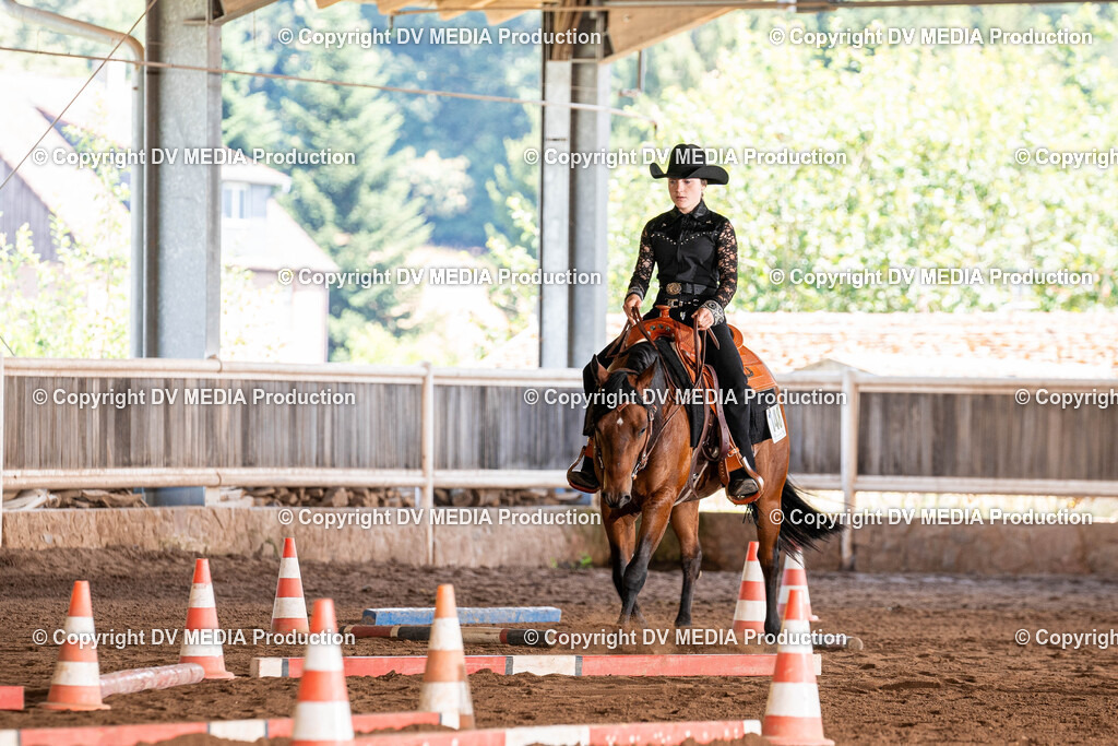 Erbach Tag 2-707 | dv-media-shop - Realisiert mit Pictrs.com