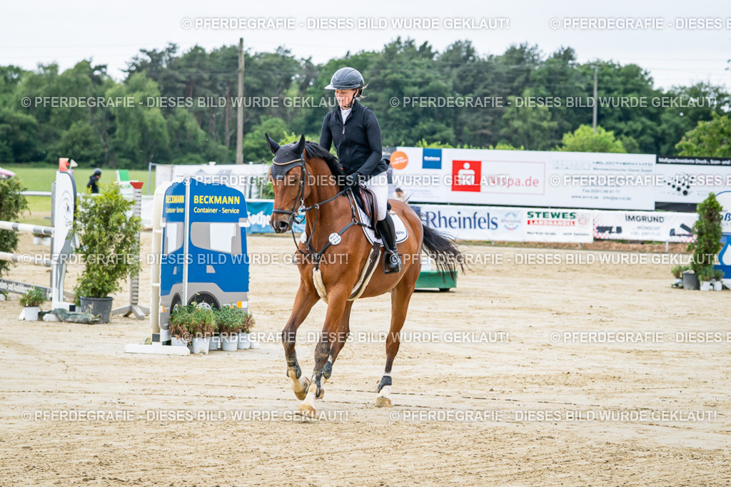 DSC04039 | Pferdegrafie