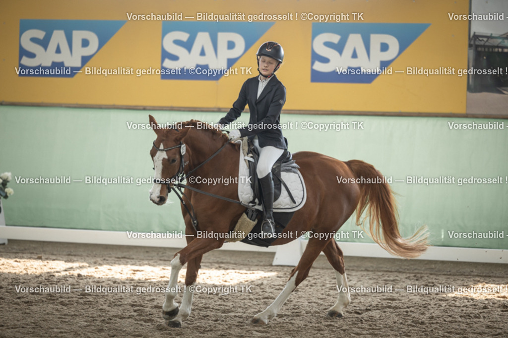 _D5A5552 | Emotionale Pferde- & People-Fotografie rund um Heidelberg, Leimen & Umgebung. Natürliche Fotos von Pferd, Mensch & Familie. Jetzt Termin sichern!