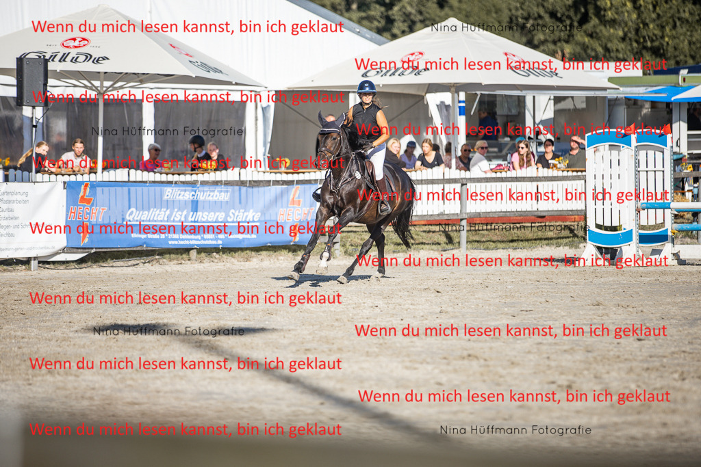 BK1A7654 | Turnierbilder Turnierfotos Nina Hüffmann Turnierfotografie Pferdefotografie Tierzeichnung Haustierzeichnung Pferdezeichnung Hundezeichnung Videograf  - Realisiert mit Pictrs.com