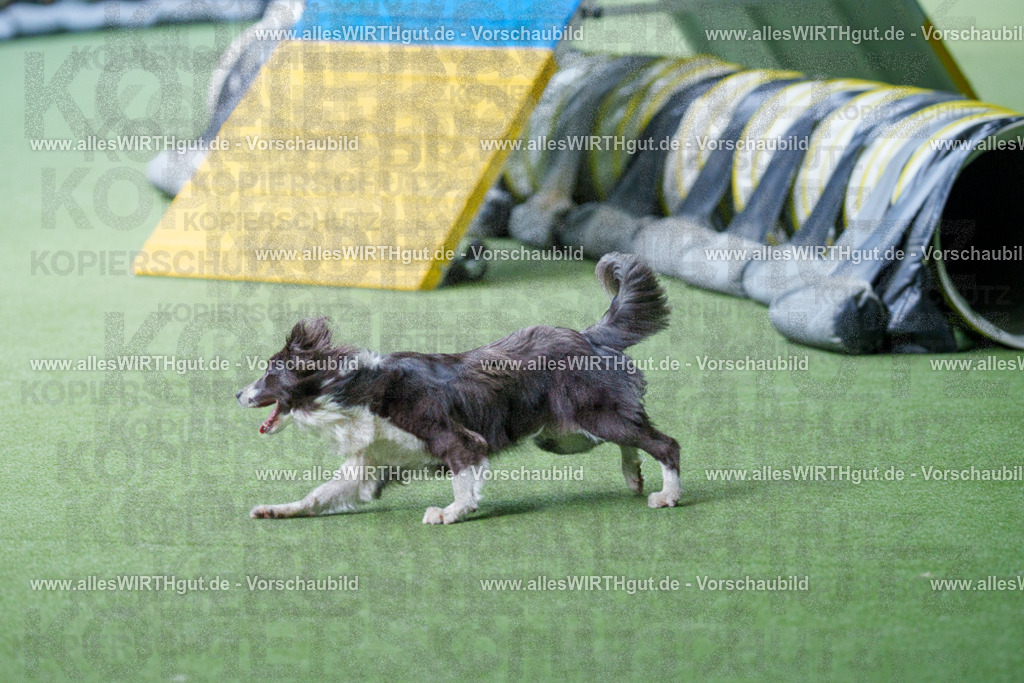 @allesWIRTHgut_Tierfotografie - www.allesWIRTHgut.de - 2604251241-7R502525 | Professionelle Tierfotografie in Mönchengladbach von Daniel Wirth (allesWIRTHgut). Liebevolle & natürliche Bilder von Hunden & Katzen für unvergessliche Erinnerungen.