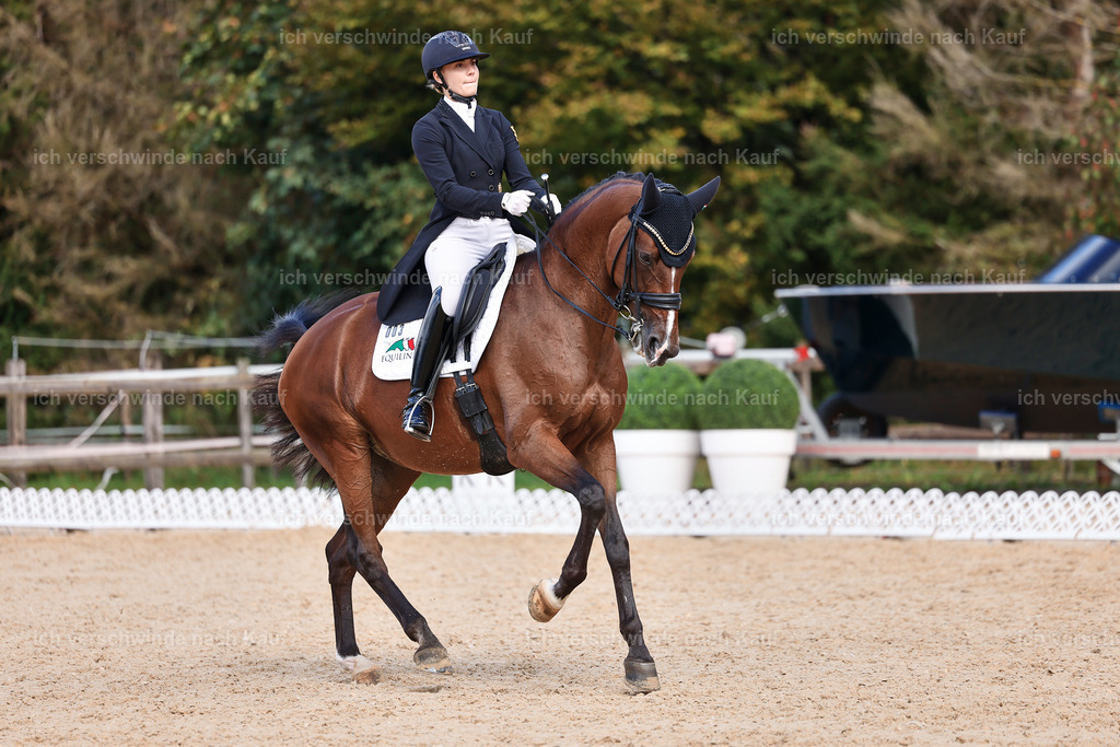 07-003-DRESSUR  S___  -StoibPH-5064 | working equitationturnier fotograf videograf stoibphotography marixx film working equitation deutschland reitsport turnierfotografie eventfotografie equestrian events