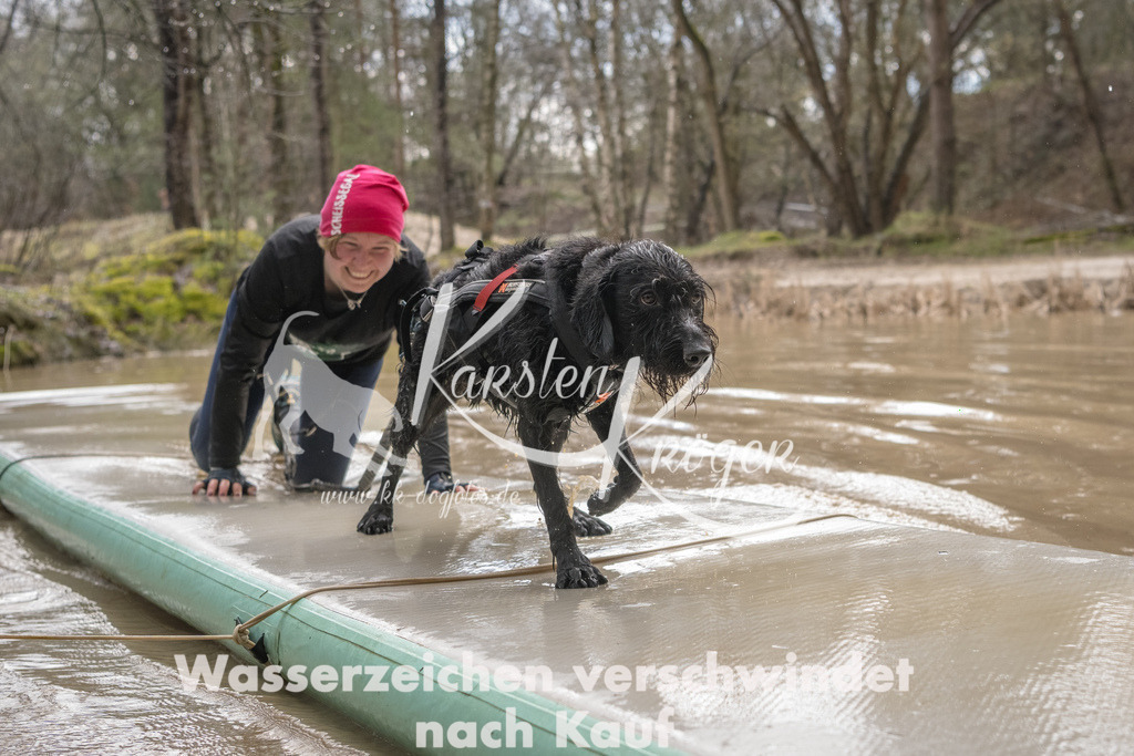 1304_ZZ94249-Bearbeitet | kk-dogfotos