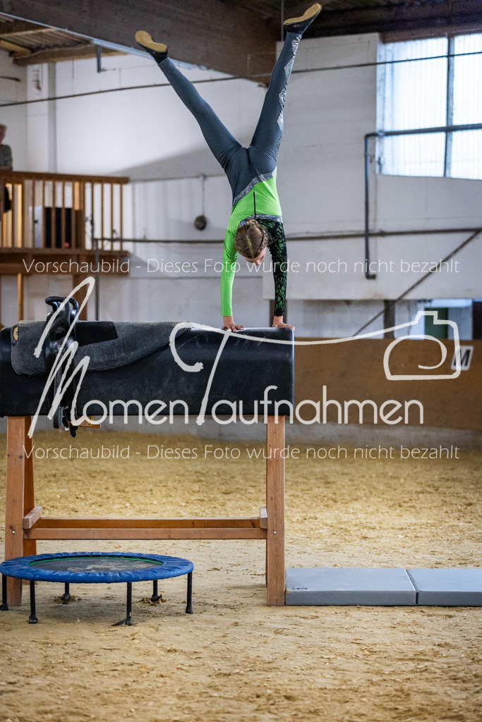 Holzpferd-021 | MomenTaufnahmen Pferdesportfotos