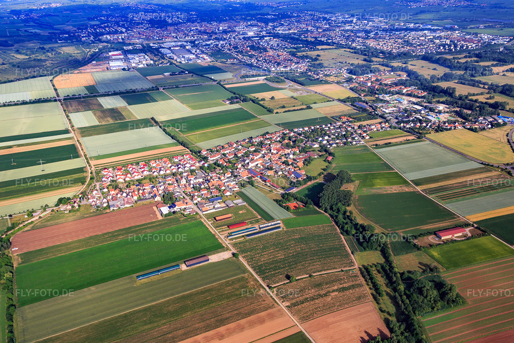 Luftbild: Ortsansicht von Osten im Ortsteil Mörlheim in Landau im Bundesland Rheinland-Pfalz in Deutschland. Foto: IMG_080912.jpg vom 14.06.2015 durch Werner Riehm/FLY-FOTO.de