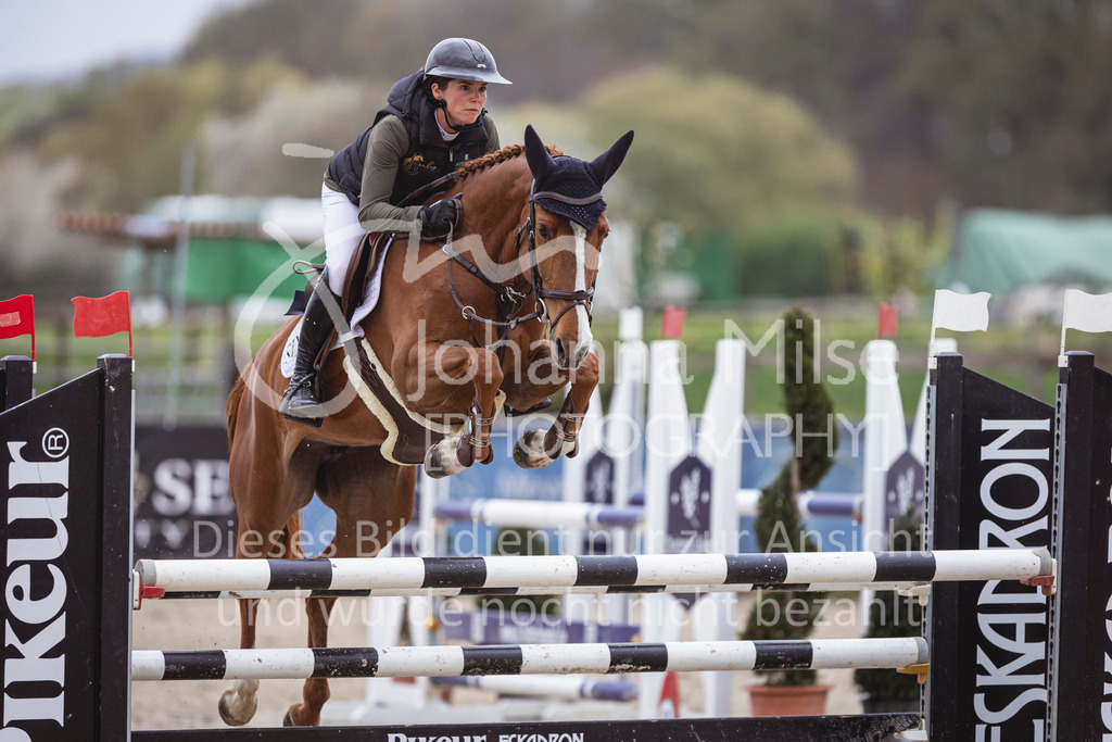 250417_Springpferde-L1-290 | Deine schönsten Turniermomente als professionelle Fotos! Entdecke hochwertige Pferdesport-Fotografie im Online-Shop. Jetzt Fotos finden & bestellen!