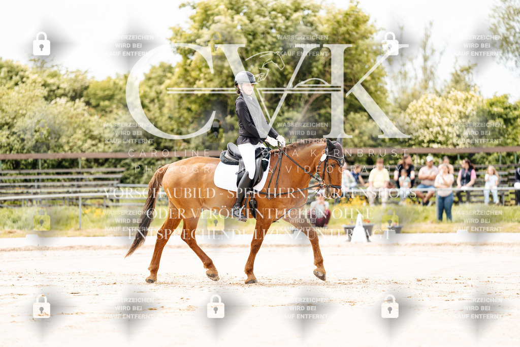 CK902659 | Turnierfotografie Pferdefotografie Trier Rheinland-Pfalz Pferdesport Reitsport Tierfotografie Sportfotografie Pferdevideo Pferdevideografie Equestrianvideography equestrianphotography  - Realisiert mit Pictrs.com
