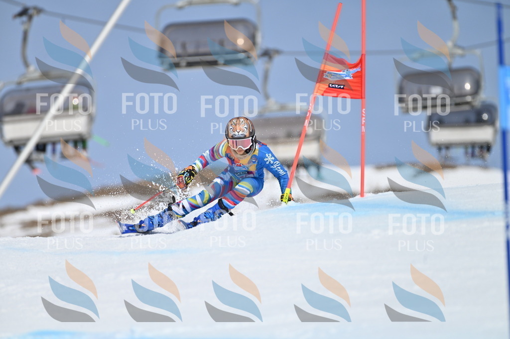 BGV_0514 | holidayphoto