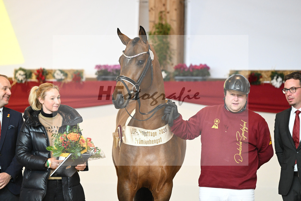 Kat-Nr. 1 Alaba_Wilbers_1231669 | hf-fotografie - Realizzato con Pictrs.com
