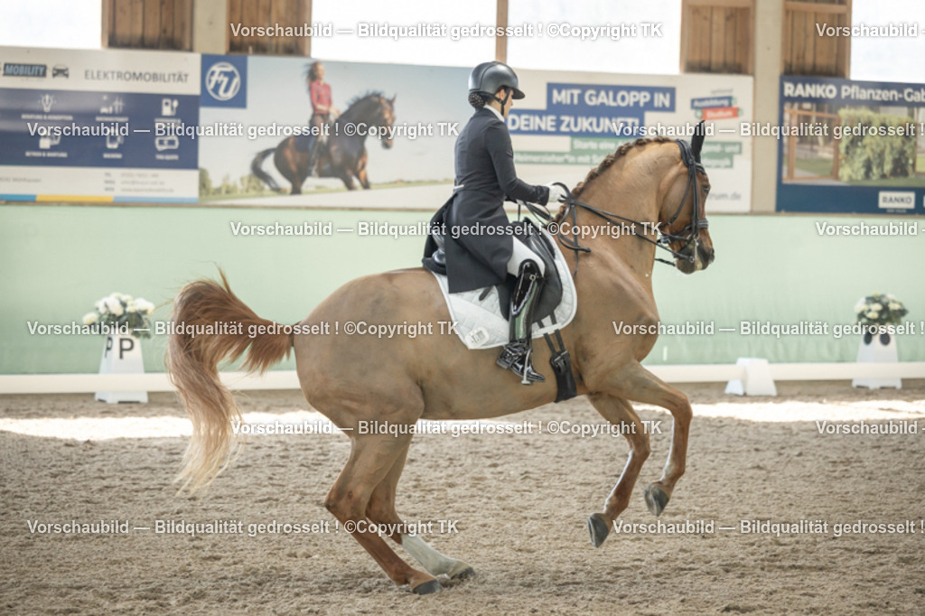 _D5A1383 | Emotionale Pferde- & People-Fotografie rund um Heidelberg, Leimen & Umgebung. Natürliche Fotos von Pferd, Mensch & Familie. Jetzt Termin sichern!