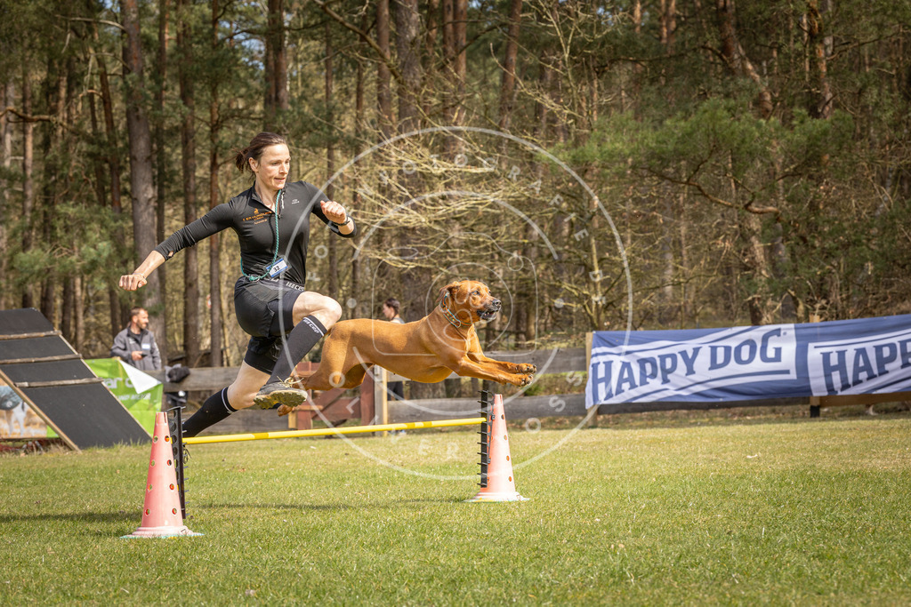 Pfotenfotografie_DV3A6137 | Hundefotografie, Tierfotograf, Pfotenfotografie, Fotoshooting Hund, Hunde Portrait, Hundesport, Hundeportraits, Heideshooting, Hunde, Sportfotograf, Hundefotograf, Turnierhundsport, THS,  - Realisiert mit Pictrs.com