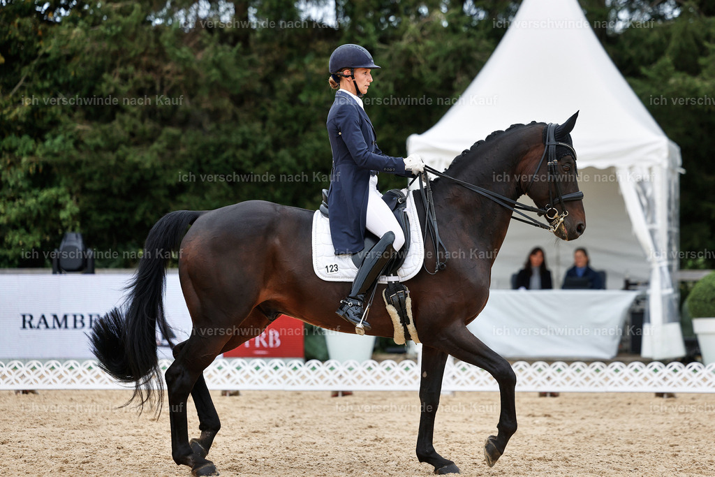 11-123-Dressur S___-StoibPH-1391 | working equitationturnier fotograf videograf stoibphotography marixx film working equitation deutschland reitsport turnierfotografie eventfotografie equestrian events