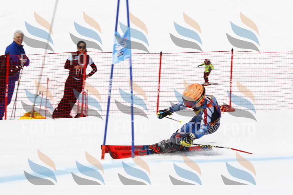 _U3G6373 | holidayphoto