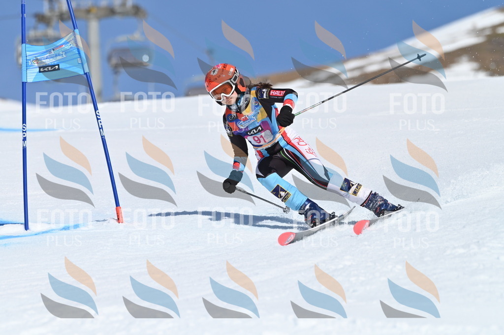 BGV_9275 | holidayphoto