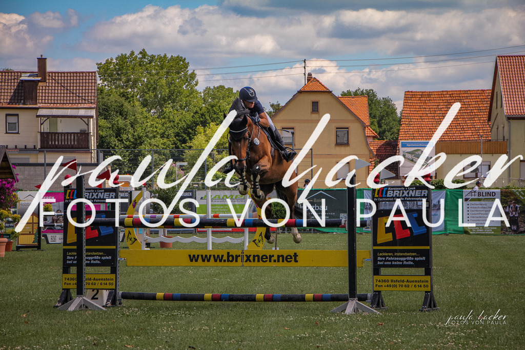 IMG_9527 | Erleben Sie dynamische Sport- und emotionale Tierfotografie in Süddeutschland mit Fotos von Paula. Spezialisiert auf Pferde- und Hundefotografie sowie Sportevents. Kontaktieren Sie mich für einzigartige und ausdrucksstarke Bilder Ihrer besonderen Momente. - Realisiert mit Pictrs.com