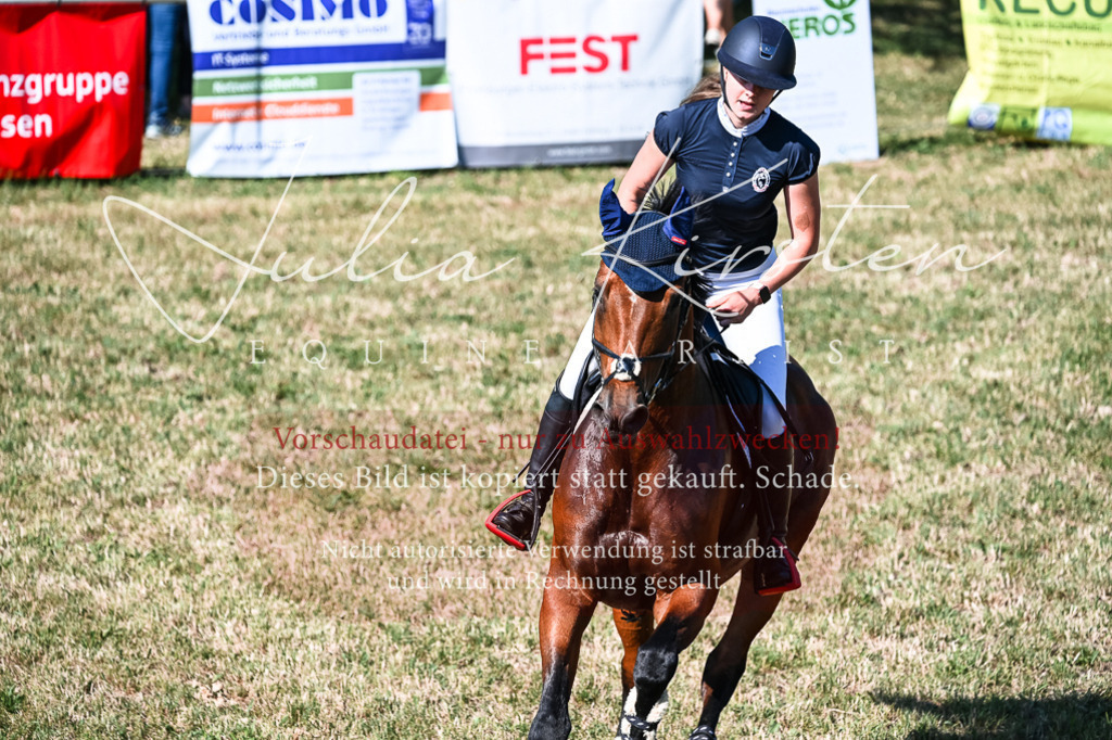DSC_2109 | Pferde- und Turnierfotografie in Westsachsen. Pferdeportraits, Auftragszeichnungen und intuitive Kunst.