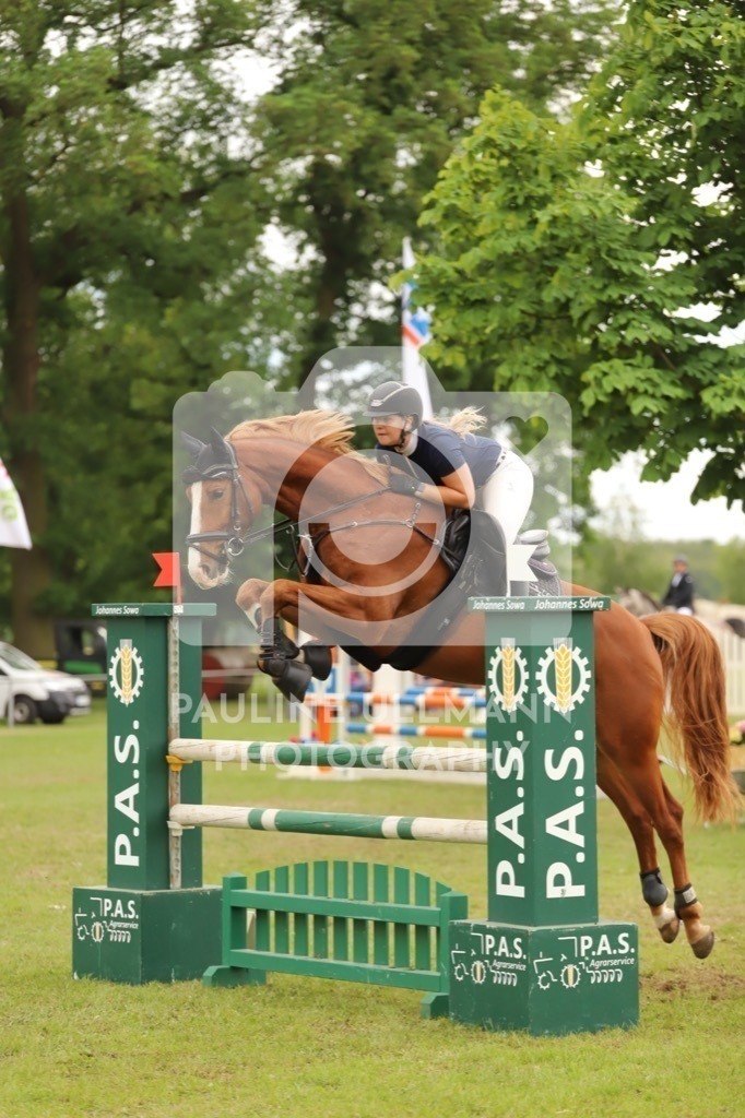 IMG_7910 | Pauline Ullmann Photography - Realisiert mit Pictrs.com