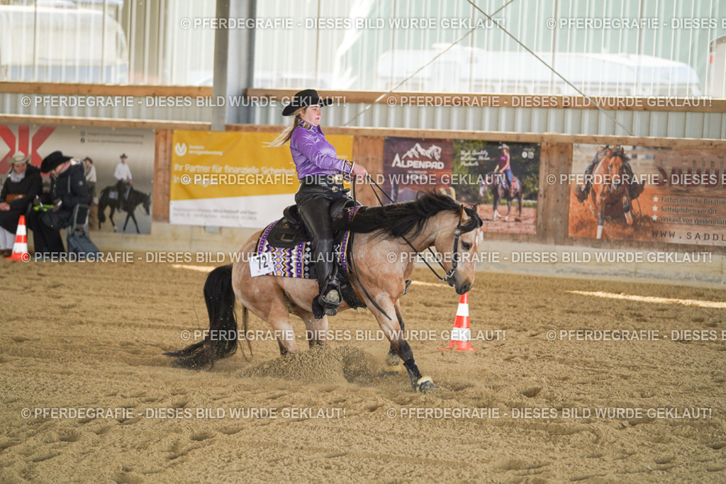 DSC00525 | Pferdegrafie