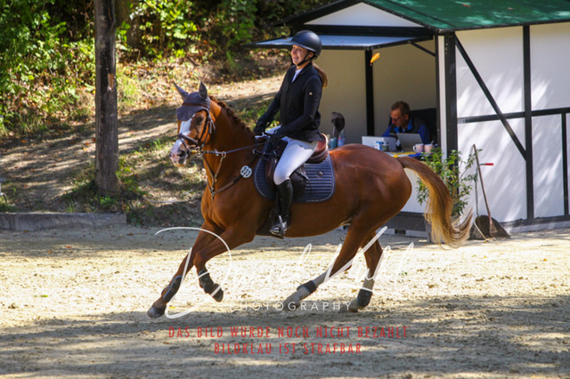 DKP43139 | Deine Turnierfotos vom Reitturnier online kaufen: Dressur, Springen & Siegerehrung. Professionelle Pferdefotografie aus dem Rheinland – als Download & Print.Alternative: Turnierfotograf für den Pferdesport: Finde deine Fotos von Dressur- und Springturnier