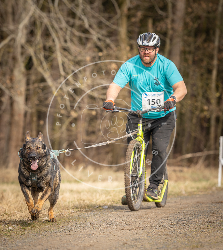 DV3A4813 | Hundefotografie, Tierfotograf, Pfotenfotografie, Fotoshooting Hund, Hunde Portrait, Hundesport, Hundeportraits, Heideshooting, Hunde, Sportfotograf, Hundefotograf, Turnierhundsport, THS,  - Realisiert mit Pictrs.com