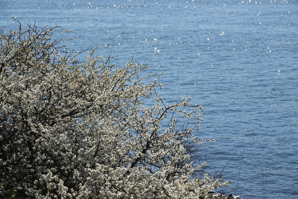 Springtime | springtime