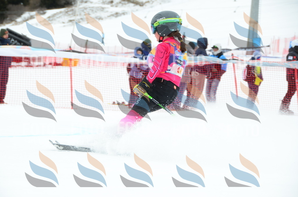 DSC_0663 | holidayphoto