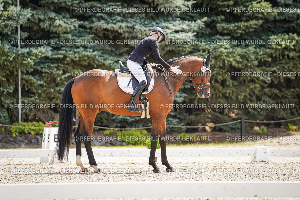 DSC09154 | Pferdegrafie