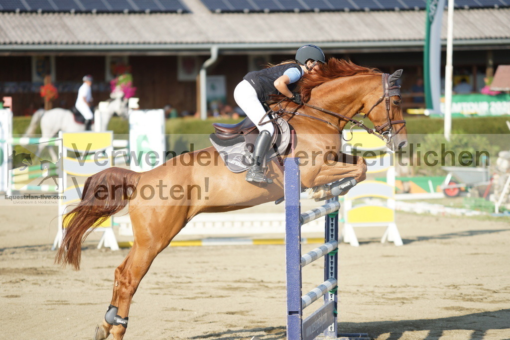 DSC00666 | equestrian-live-com