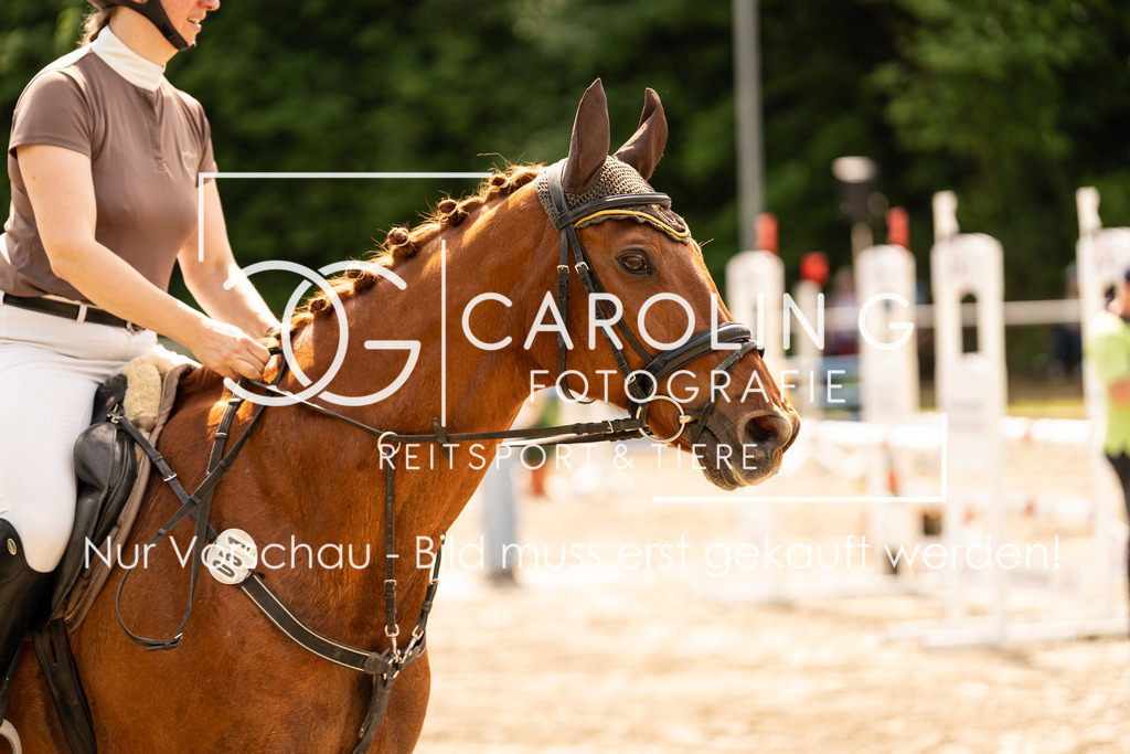 DSC02340 | Carolin Gieschke