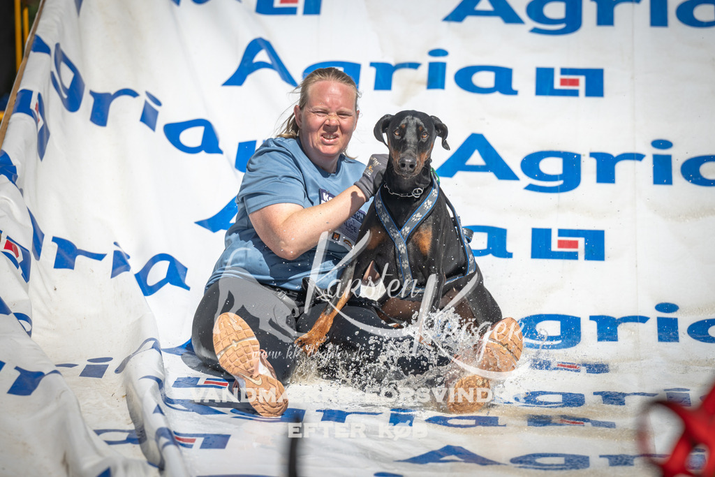 1350_ZZ91499 | kk-dogfotos