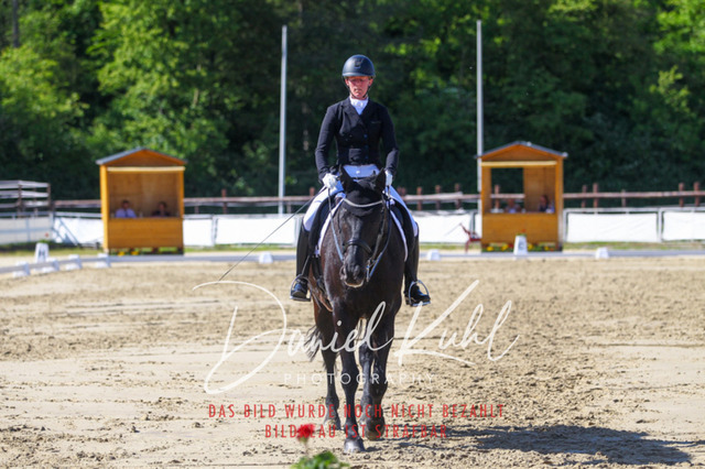 DKP42540 | Turniersportfotografie; Pferdefotografie; Dressurfotografie
