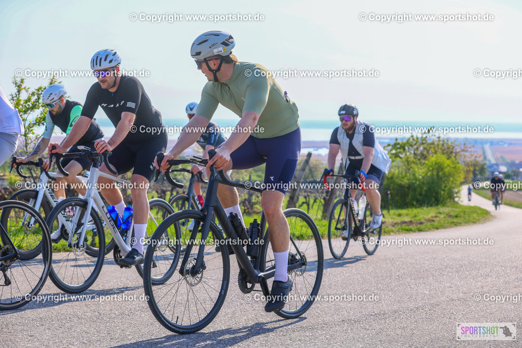 TRA_0214 | Neusiedlersee Radmarathon 2026@sportshot_your_pictrs #yourpictures#roadtowm2029 #nrm #neusiedlerseeradmarathon #neusiedlersee #neusiedlerseetourismus #burgenland #mörbisch #nrm26 #burgenlandtourismus #voglundco #poweredbyburgenlandtourismus #radsport #rad #marathon #ucigranfondo #visitburgenland #ucigranfondoworldseries