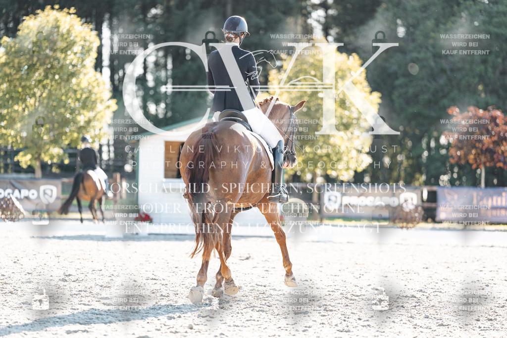 CK906939 | Turnierfotografie Pferdefotografie Trier Rheinland-Pfalz Pferdesport Reitsport Tierfotografie Sportfotografie Pferdevideo Pferdevideografie Equestrianvideography equestrianphotography  - Realisiert mit Pictrs.com