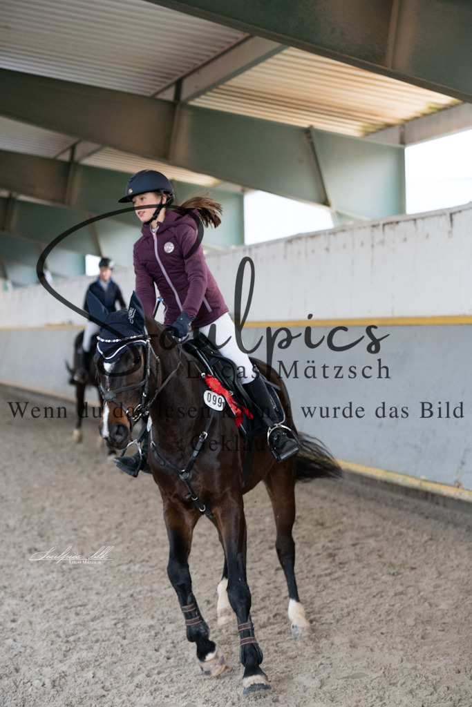 A7V01467 | Pferdefotograf