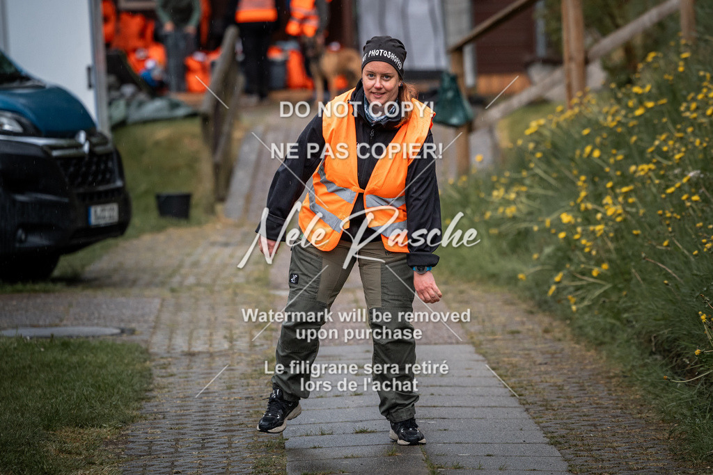 nelerasche_SaAbends_311 | nelerasche