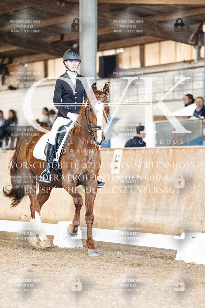 CK900977 | Turnierfotografie Pferdefotografie Trier Rheinland-Pfalz Pferdesport Reitsport Tierfotografie Sportfotografie Pferdevideo Pferdevideografie Equestrianvideography equestrianphotography  - Realisiert mit Pictrs.com