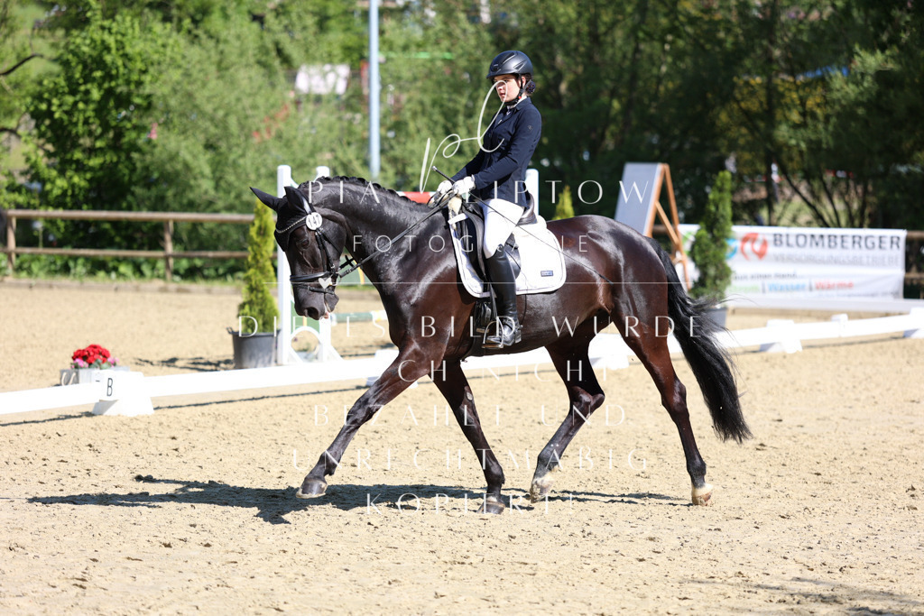 IMGT0405 | pl-fotografie