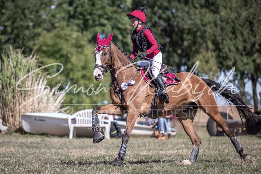 20260906-_3LI4825 | Tierfotografie Pferde, Hunde, Katzen, Haustiere.
Turnierfotografie Reitturniere, Reiten, Springreiten, Dressur in Hanau, dem Main-Kinzig-Kreis und dem Rhein-Main- Gebiet um Frankfurt