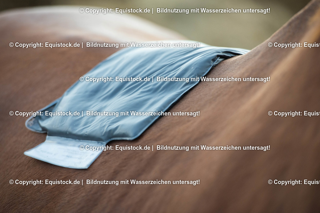 20200928_Moorpackung_0001 | equistock