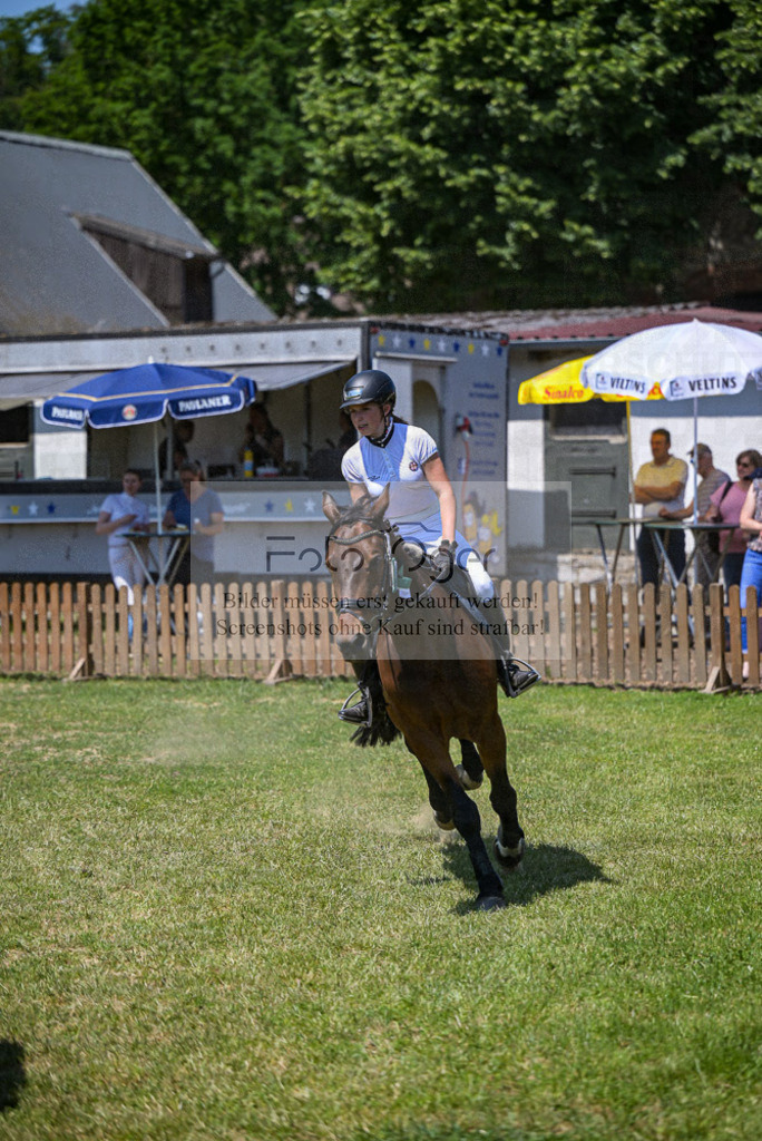 Reitturnier Voxtrup | Entdecke hochwertige Reitturnierfotos von Foto Oger. Professionell, emotional und authentisch – jetzt Lieblingsmomente im Shop bestellen.Deutschlandweite Turnierfotografie. - Realisiert mit Pictrs.com