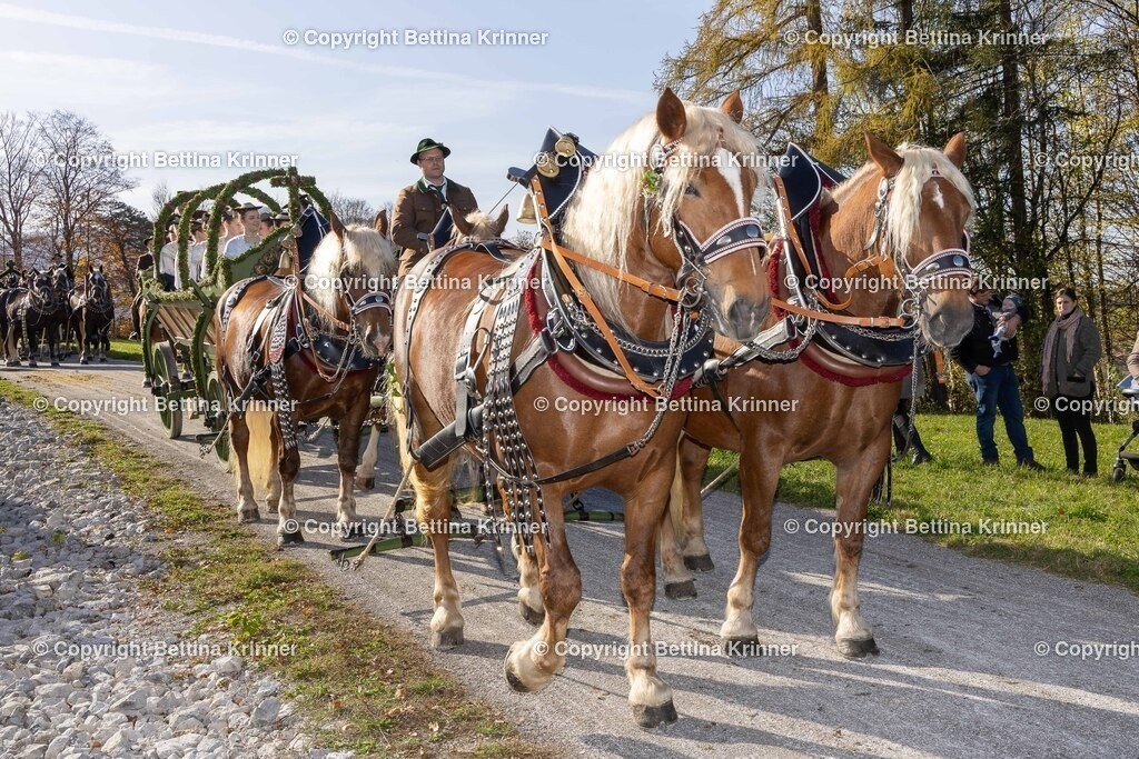 LBT24-1470 | foto-bettina-krinner - Realisiert mit Pictrs.com